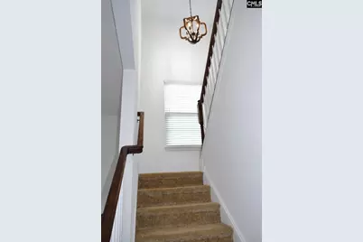 435 Serene Court, Irmo, SC 29063 - Photo 13