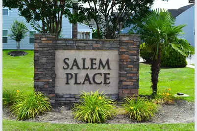 435 Serene Court, Irmo, SC 29063 - Photo 39