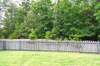 435 Serene Court, Irmo, SC 29063 - Photo 33