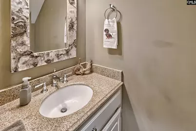 477 Lake Tide Drive, Chapin, SC 29036 - Photo 17