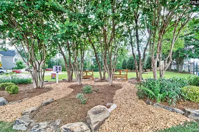 517 Verona Way, Chapin, SC 29036 - Photo 35
