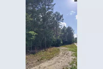 408 Sells Court, Pelion, SC 29123 - Photo 3