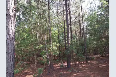 408 Sells Court, Pelion, SC 29123 - Photo 5