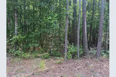 209 Ted Street, Columbia, SC 29203 - Photo 5