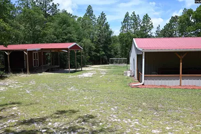 209 Ann Street, Pelion, SC 29123 - Photo 45