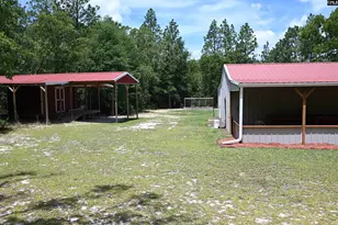 209 Ann St, Pelion, SC 29123 - Photo 45