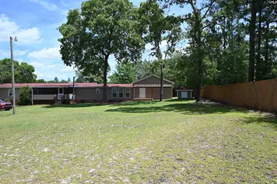 209 Ann Street, Pelion, SC 29123 - Photo 39