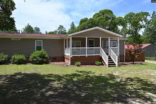 209 Ann St, Pelion, SC 29123 - Photo 1