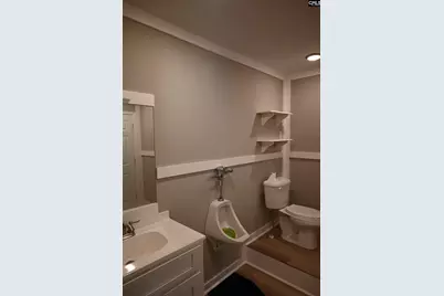 209 Ann Street, Pelion, SC 29123 - Photo 37