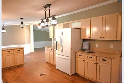 209 Ann Street, Pelion, SC 29123 - Photo 3