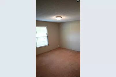 209 Ann Street, Pelion, SC 29123 - Photo 15