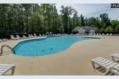 453 Crawley Lane, Chapin, SC 29036 - Photo 39