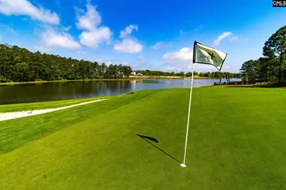 166 Backspin Drive, Elgin, SC 29045 - Photo 55