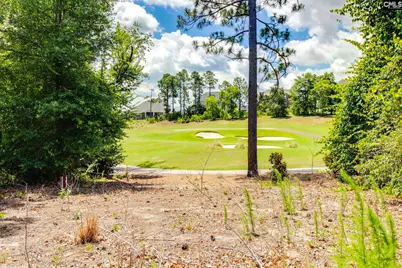 166 Backspin Drive, Elgin, SC 29045 - Photo 29