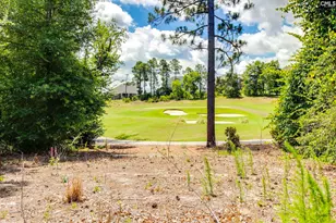 166 Backspin Dr, Elgin, SC 29045 - Photo 29