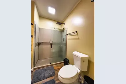 411 Gary Street, Whitmire, SC 29178 - Photo 23