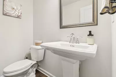 247 Chetsley Drive, Lexington, SC 29073 - Photo 9