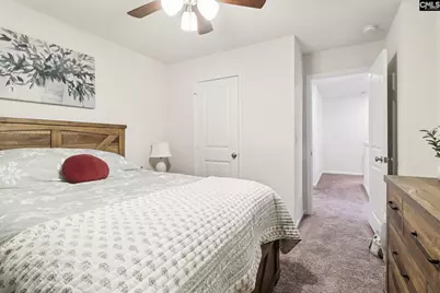 247 Chetsley Drive, Lexington, SC 29073 - Photo 13