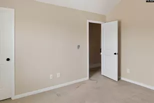 20 Gorebridge Ct, Blythewood, SC 29016 - Photo 23
