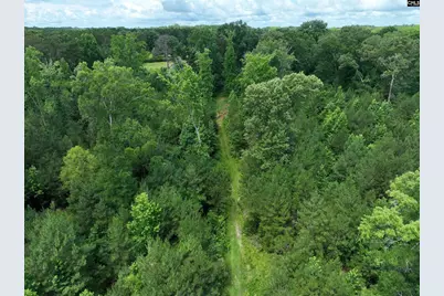 0 Rocky Branch Road, Chapin, SC 29036 - Photo 23