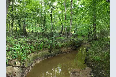 0 Rocky Branch Road, Chapin, SC 29036 - Photo 11