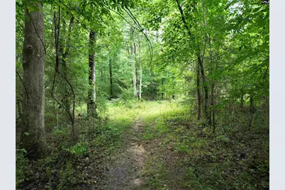 0 Rocky Branch Road, Chapin, SC 29036 - Photo 5