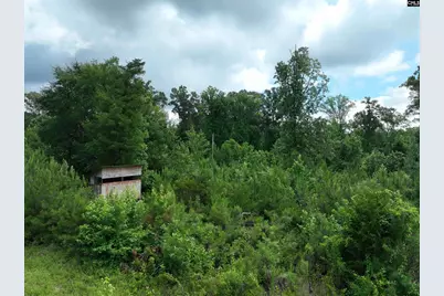0 Rocky Branch Road, Chapin, SC 29036 - Photo 13