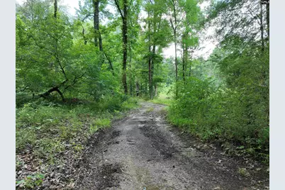 0 Rocky Branch Road, Chapin, SC 29036 - Photo 3