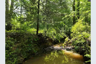0 Rocky Branch Road, Chapin, SC 29036 - Photo 9
