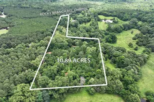 0 Rocky Branch Rd, Chapin, SC 29036 - Photo 1