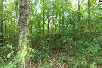 0 Hwy 378, Edgefield, SC 29835 - Photo 7