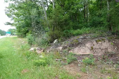 0 Hwy 378, Edgefield, SC 29835 - Photo 3