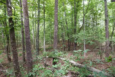 0 Hwy 378, Edgefield, SC 29835 - Photo 9
