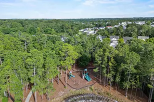 182 Palmetto Park Cir, Columbia, SC 29229 - Photo 35