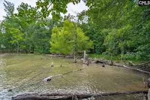 1600 Wildwood Cove Rd, Leesville, SC 29006 - Photo 15