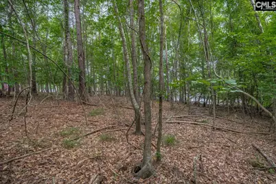 1600 Wildwood Cove Road, Leesville, SC 29006 - Photo 17