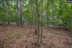 1600 Wildwood Cove Rd, Leesville, SC 29006 - Photo 17