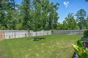 329 Sycamore Crest Wy, Chapin, SC 29036 - Photo 41