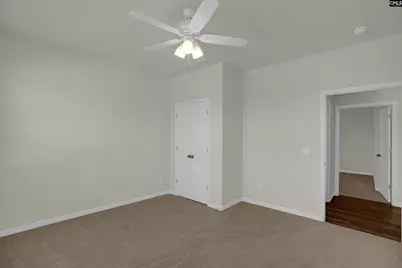 329 Sycamore Crest Way, Chapin, SC 29036 - Photo 29