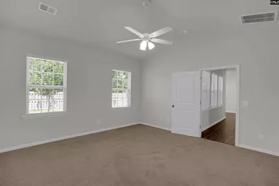 329 Sycamore Crest Way, Chapin, SC 29036 - Photo 23