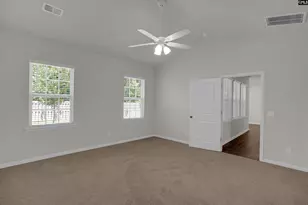 329 Sycamore Crest Wy, Chapin, SC 29036 - Photo 23