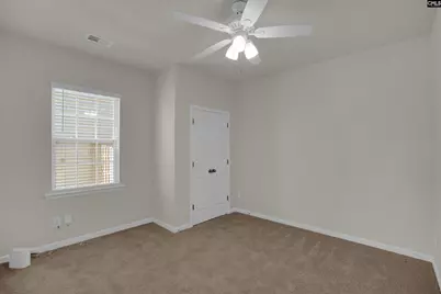 329 Sycamore Crest Way, Chapin, SC 29036 - Photo 31