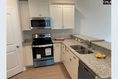 952 Bergenfield Lane, Chapin, SC 29036 - Photo 3