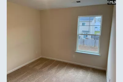 952 Bergenfield Lane, Chapin, SC 29036 - Photo 17