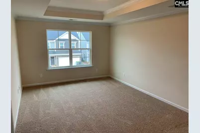 952 Bergenfield Lane, Chapin, SC 29036 - Photo 9