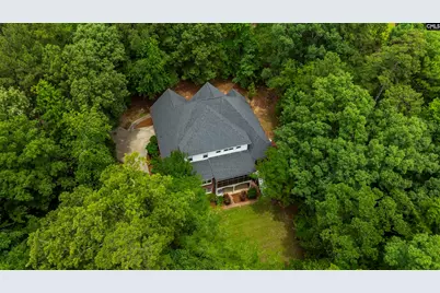 292 Quail Walk Trail, Chapin, SC 29036 - Photo 9