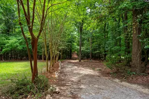 292 Quail Walk Trail, Chapin, SC 29036 - Photo 3