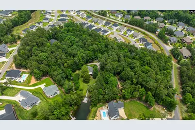 292 Quail Walk Trail, Chapin, SC 29036 - Photo 7