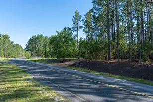 0 Pine Plain Rd, Gaston, SC 29053 - Photo 1