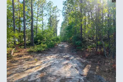 0 Pine Plain Road, Gaston, SC 29053 - Photo 7